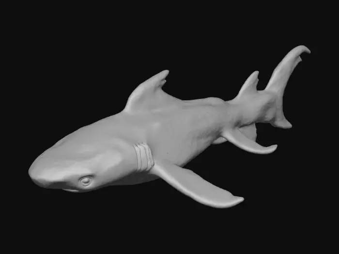3D model for Thorny Shark