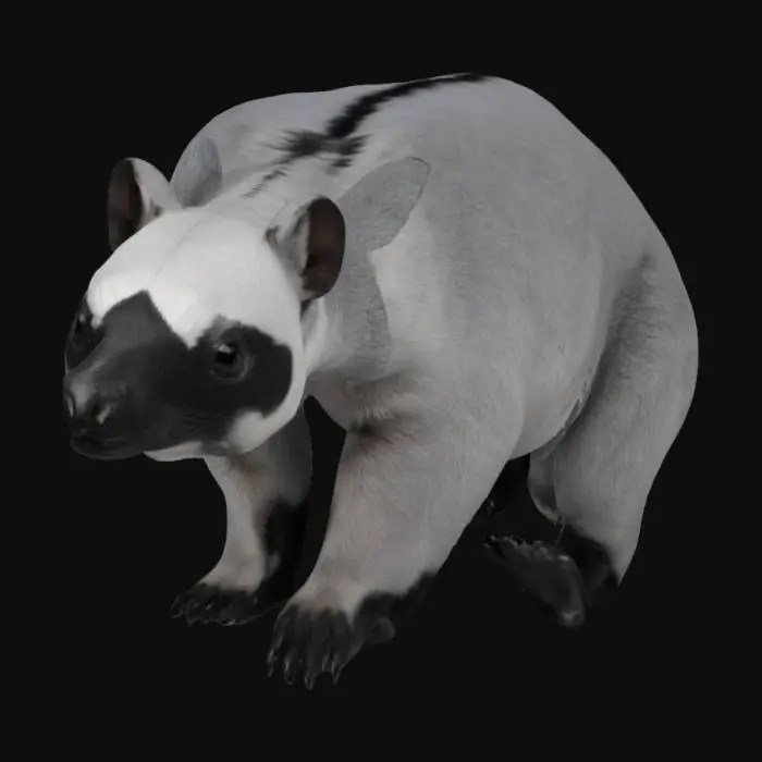 3D model for A Weird bear-like Mammal from southeast asia, quadruped, long snouted, symmetry, long-tailed