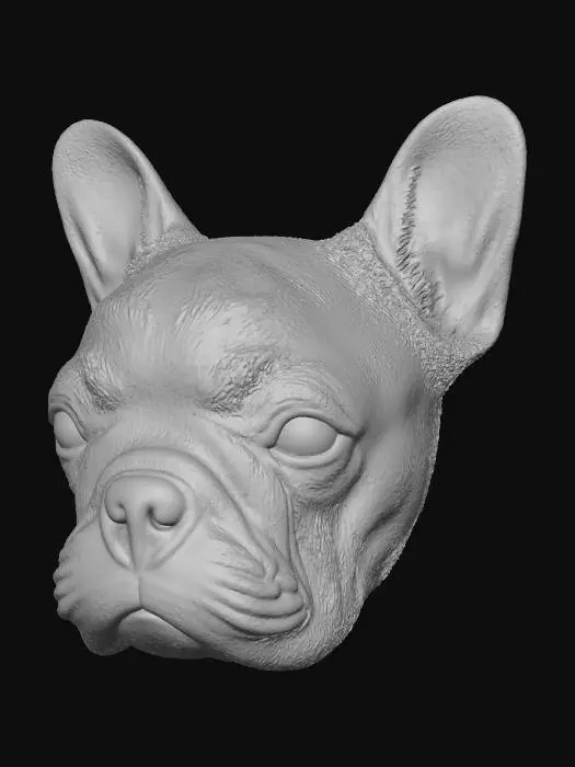 3D model for Bulldog Portrait