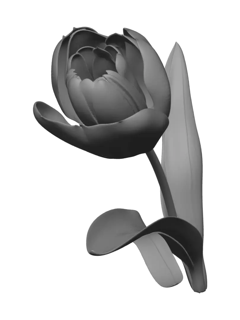 flowerpot