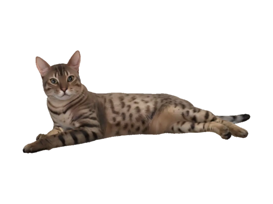 Spotted Bengal Cat Lying Down 3D model, vytvořený pomocí AI