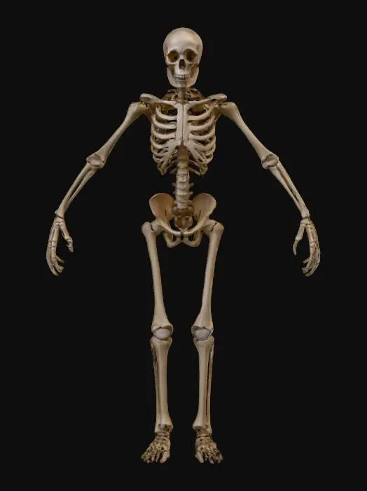 3D model for um zumbi