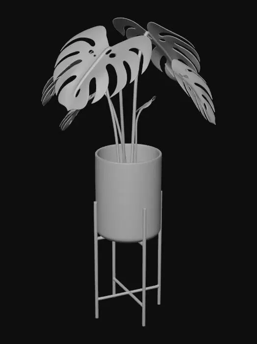3D model for Monstera on a Stand