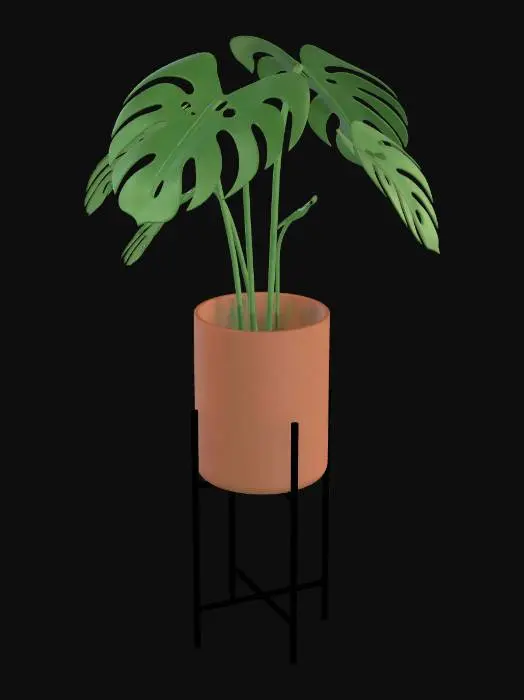 3D model for Monstera on a Stand