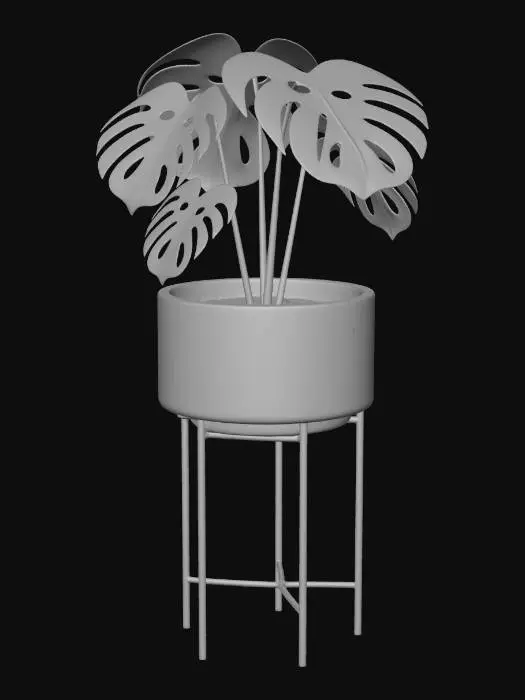 3D model for Monstera on Stand