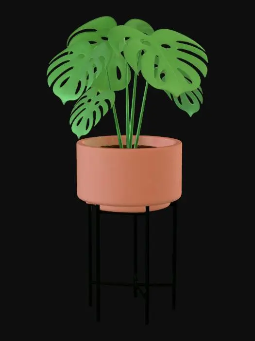 3D model for Monstera on Stand