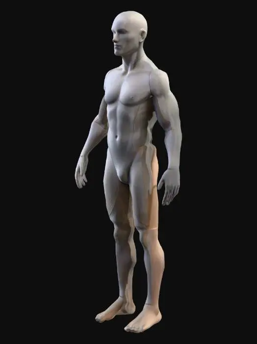 3D model for Geometric Human Form