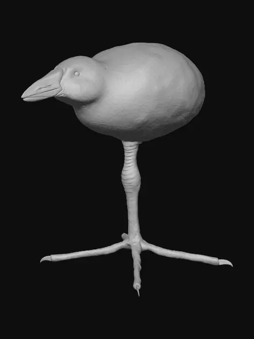 3D model for crow on one leg