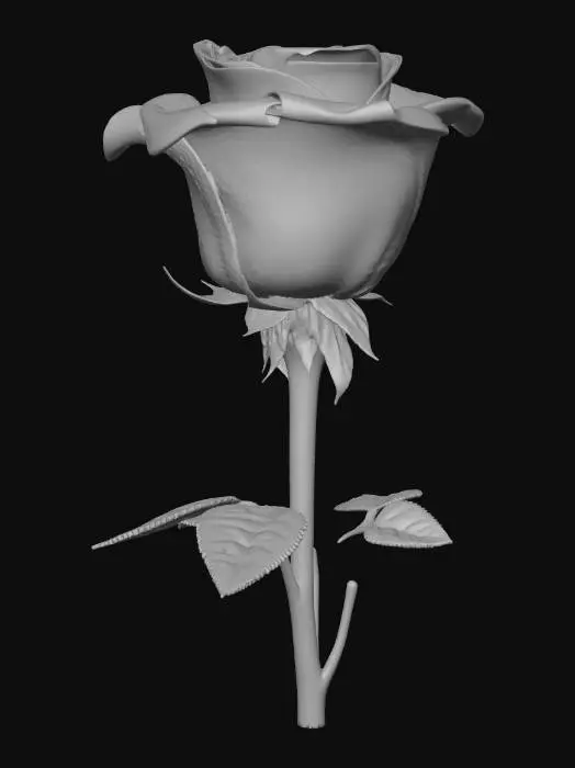 3D model for Ultra realistic, Ultra detailed, 4k,
A single long strem white rose that didn't came to  blossom yet.
#rose #flower #nature #symbol of loneliness