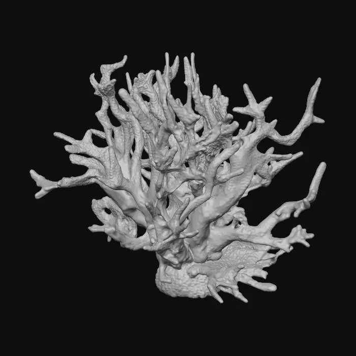 3D model for 3bae47f031de5030c199ed18eeb135ed.jpg