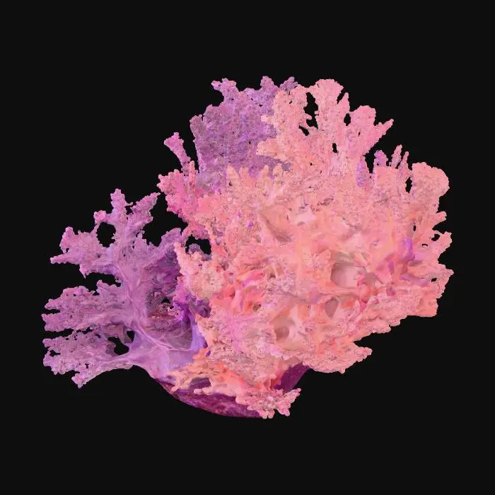 3D model for Schermafbeelding 2025-10-01 061807.png