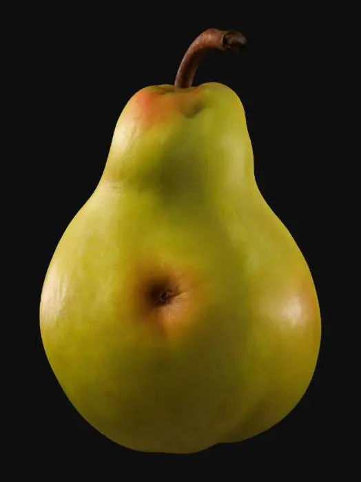 3D model for make an pear with an stem
