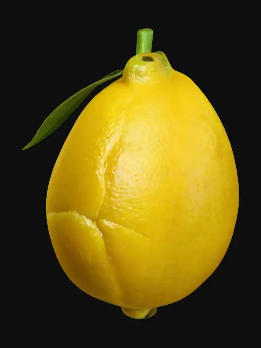 3D model for a lemon with stalk and aleaf