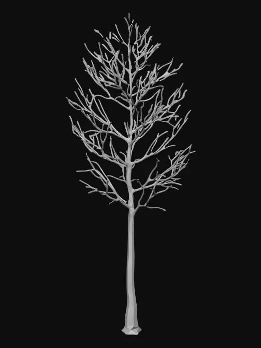3D model for make an birch tree without leaves