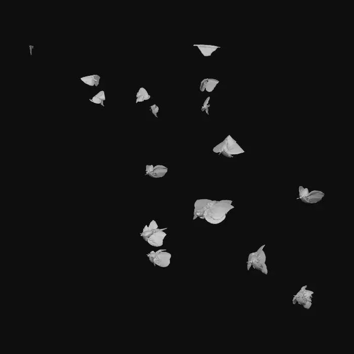 3D model for Butterfly Journey