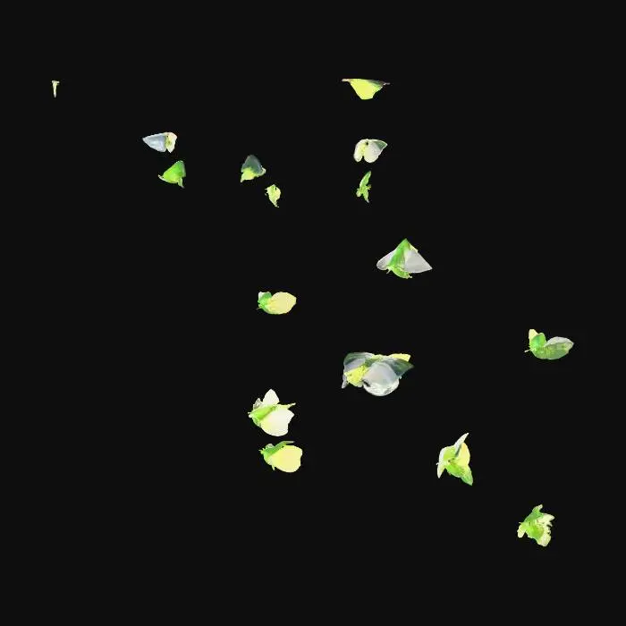 3D model for Butterfly Journey