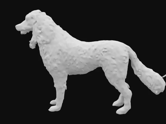 3D model for English setter, black white and brown colors. long hairs on legs and tail. cute