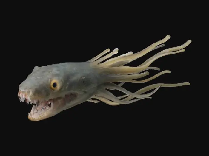 3D model for Tentacle Creature Sketch