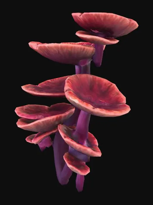 3D model for Crimson Fungi Cluster