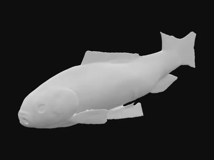 3D model for Harlequin Fish Illustration