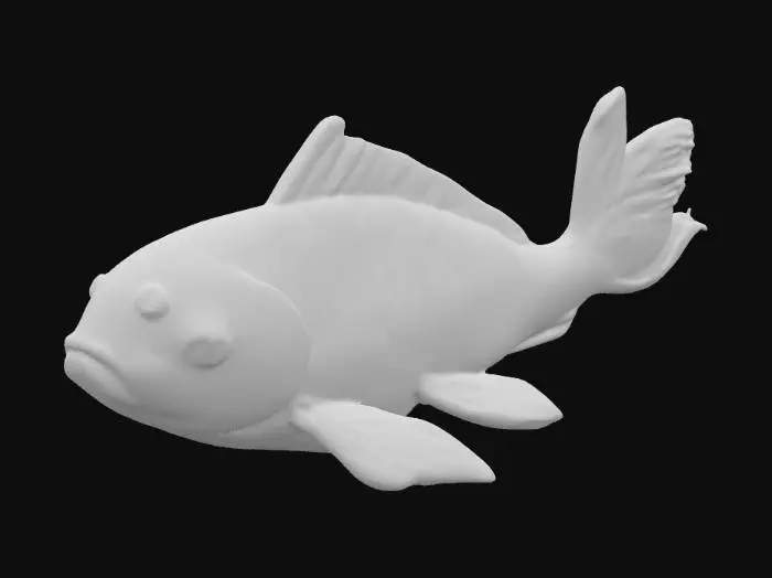3D model for Goldfish Illustration