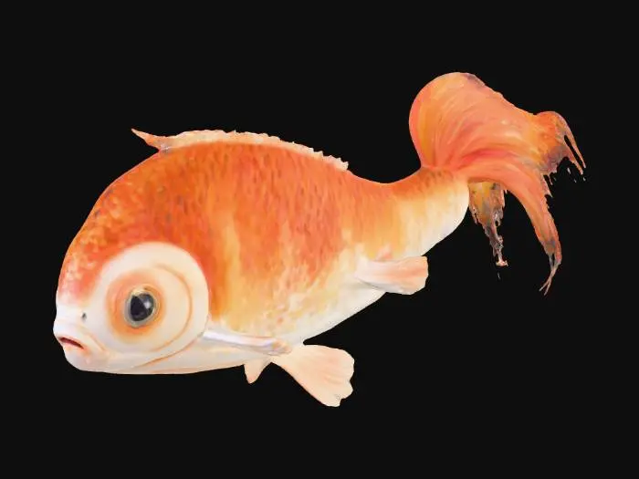 3D model for Quirky Goldfish Illustration