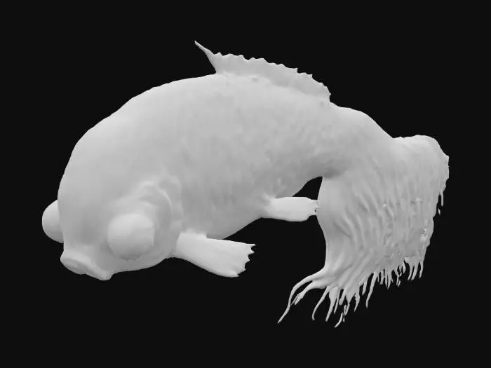 3D model for Bubble Eye Goldfish Illustration