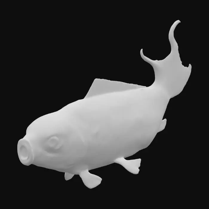 3D model for Goldfish Illustration