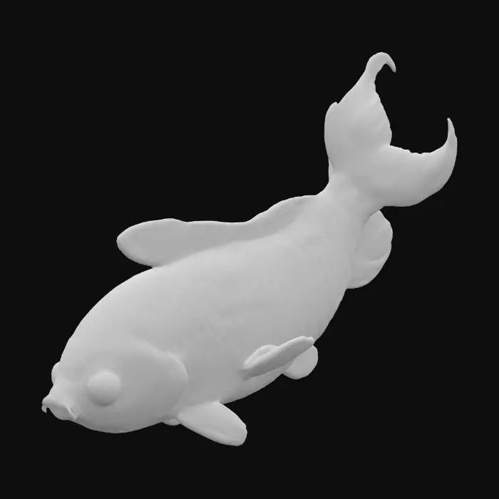 3D model for Golden Carp Illustration