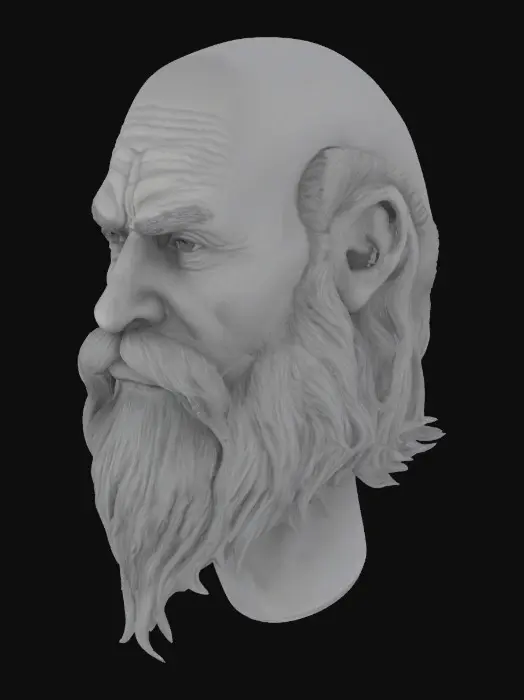 3D model for A long pointy old looking beard