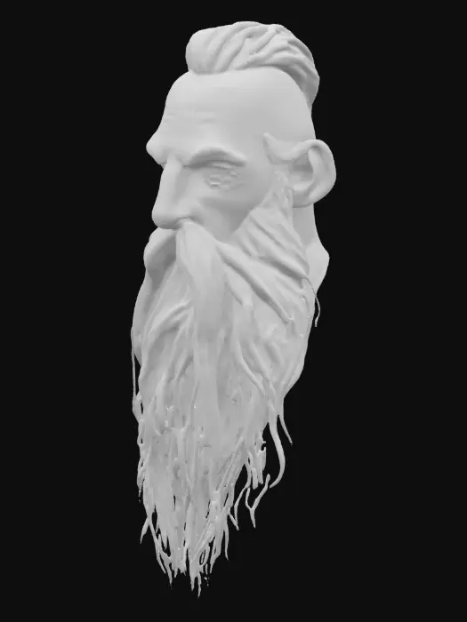 3D model for A long pointy old looking beard