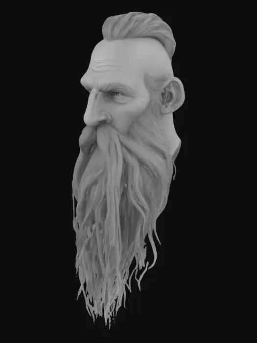 3D model for A long pointy old looking beard