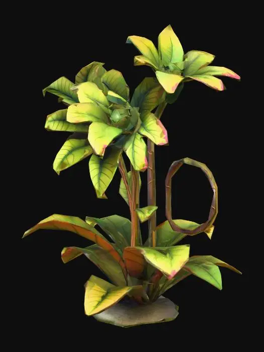 3D model for A stylized, fantastical plant designed as a static 3D prop. The plant has exaggerated, whimsical shapes: oversized leaves, twisting stems, layered petals or fronds, and a strong, readable silhouette. The geometry is organic but stylized, with smooth curves and distinct sections for leaves, flowers, or fruits.

Textures are hand-painted or cell-shaded, with bold color separation, subtle gradients, and clear material definition. The color palette is vibrant and fantasy-inspired, emphasizing the shape and structure of the plant. No animation, no particle effects, no glow — fully static and ready for placement in a stylized game or fantasy environment.

The base is solid and grounded, suitable for modular placement or scene decoration. All elements are coherent and readable from multiple angle
