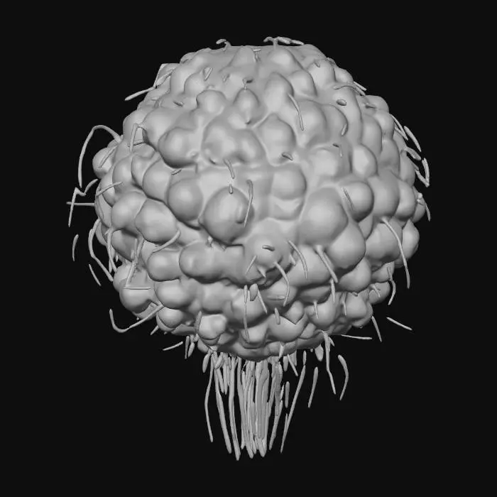 3D model for Sphere of Life