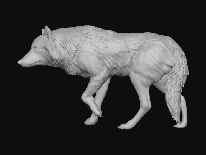 3D model for Werewolf Embry Call
 - Twilight