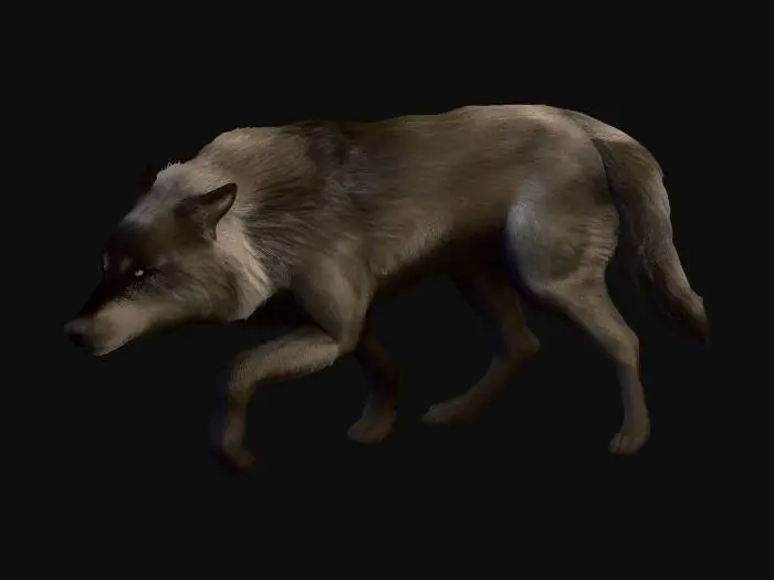 3D model for Werewolf Jared Cameron
 - Twilight
