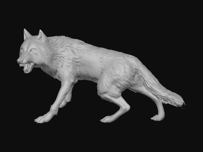 3D model for Werewolf Seth Clearwater - Twilight