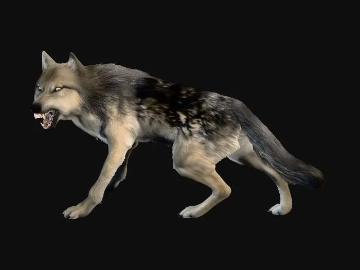 3D model for Werewolf Seth Clearwater - Twilight