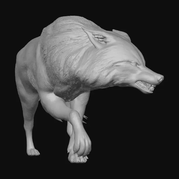 3D model for Werewolf Jacob Black - Twilight