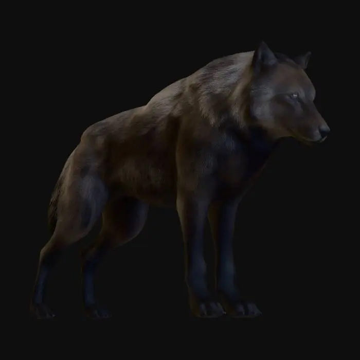 3D model for Werewolf Sam Uley - Twilight