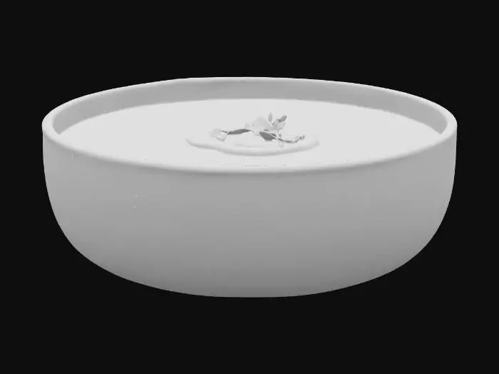 3D model for zupa pomidorowa