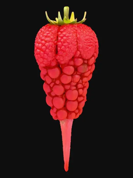 3D model for Raspberry Fusion