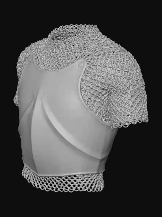 3D model for 중세 갑옷
체인 메일
게임 장비
상반신만 표현
몸통
목 부분 비어있음
투명한 배경