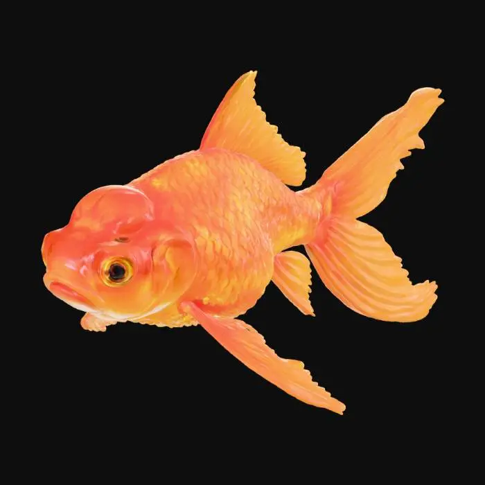 3D model for 몽환적인 물 속 물고기
황금빛을 내는 금붕어
