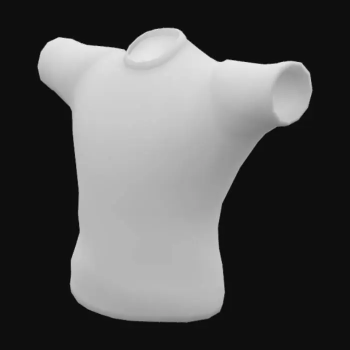 3D model for tttttshert