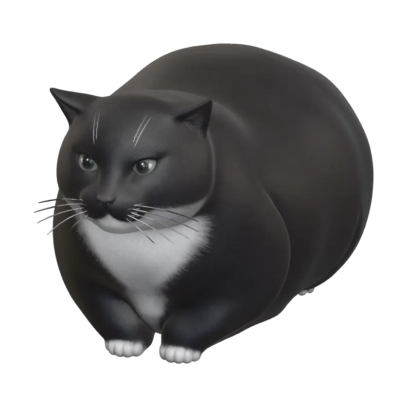 maxwell the cat