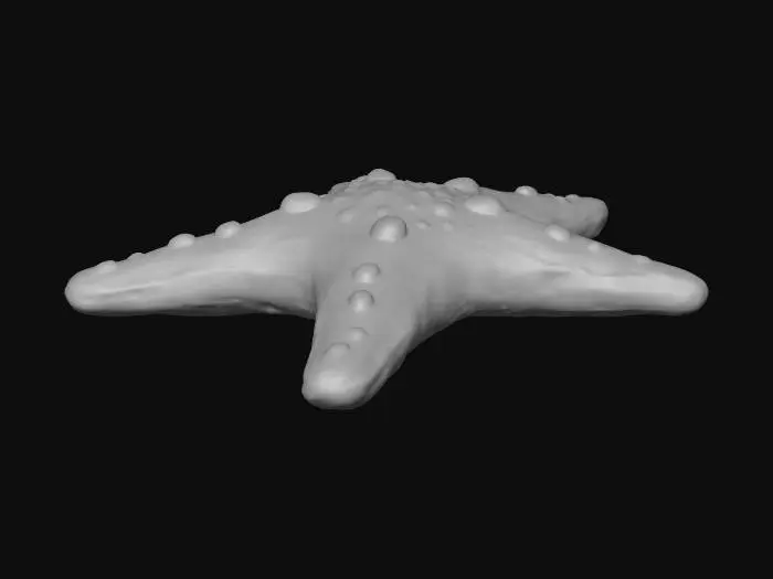 3D model for Star of the Sea