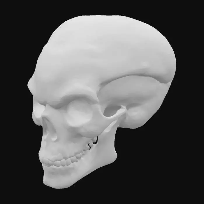 3D model for eyeless alien skull, 4k, octane render, realistic, silicon based lifeform