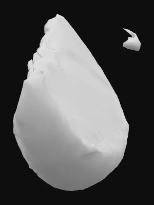 3D model for Orange Slice