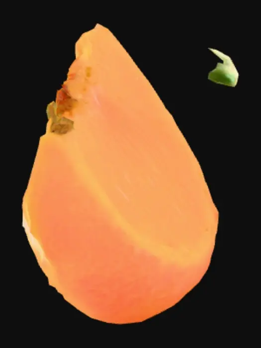 3D model for Orange Slice